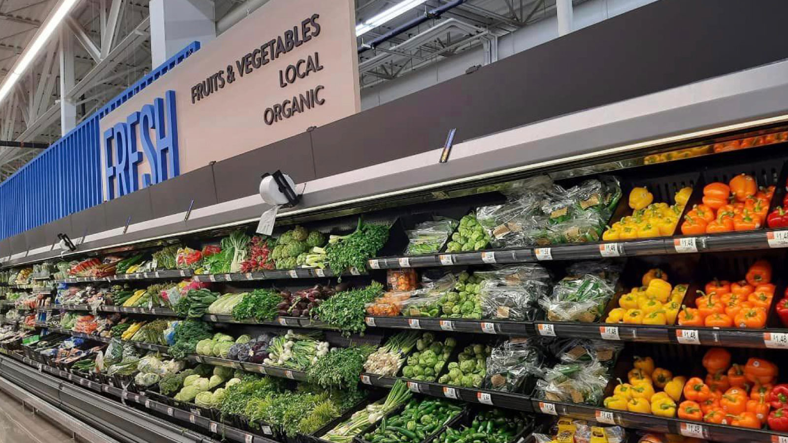 Produce department showing fresh vegetables. Sign above grocery case reads fresh, fruits and vegetables, local, organic.